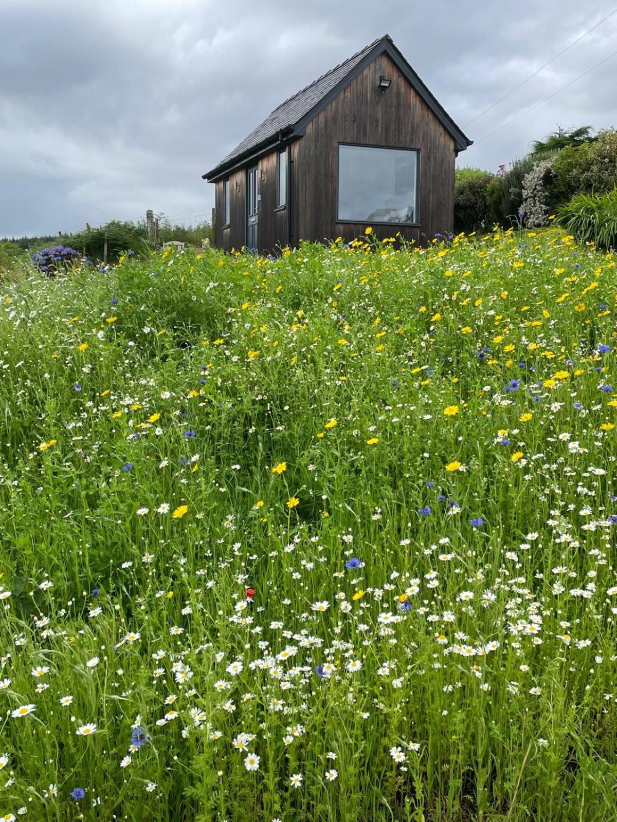 Elfin Cottage Portree Dış mekan fotoğraf